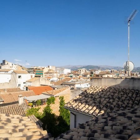Atico Duplex Terraza Privada Centro Daire Granada Dış mekan fotoğraf